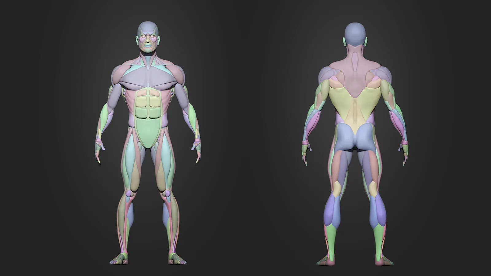 Advanced Male Base Mesh: preview 1