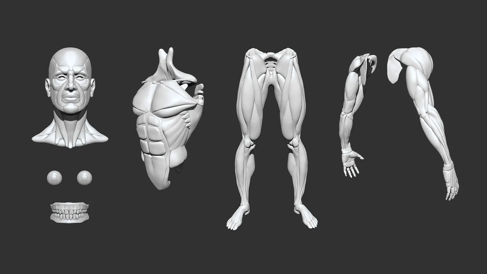 Advanced Male Base Mesh: preview 2