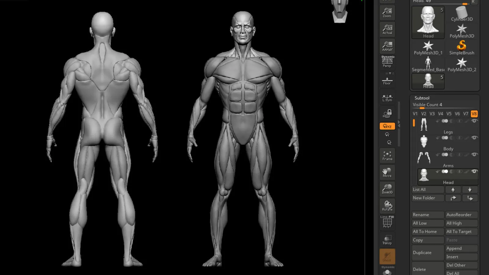 Advanced Male Base Mesh: preview 3