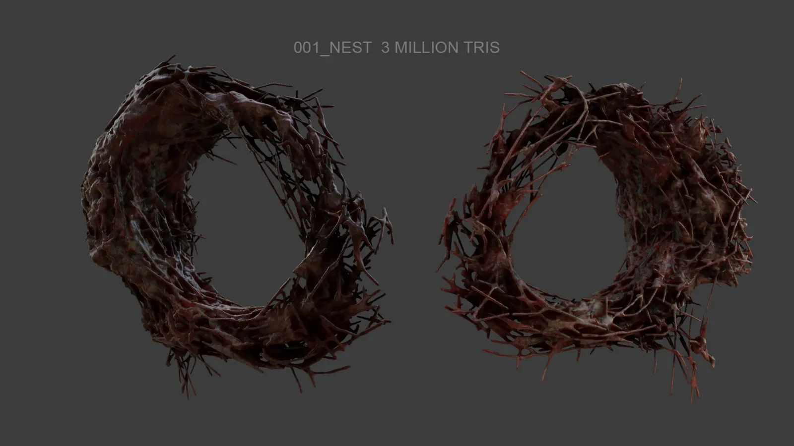 Organic Matter High-Poly Assets: preview 3