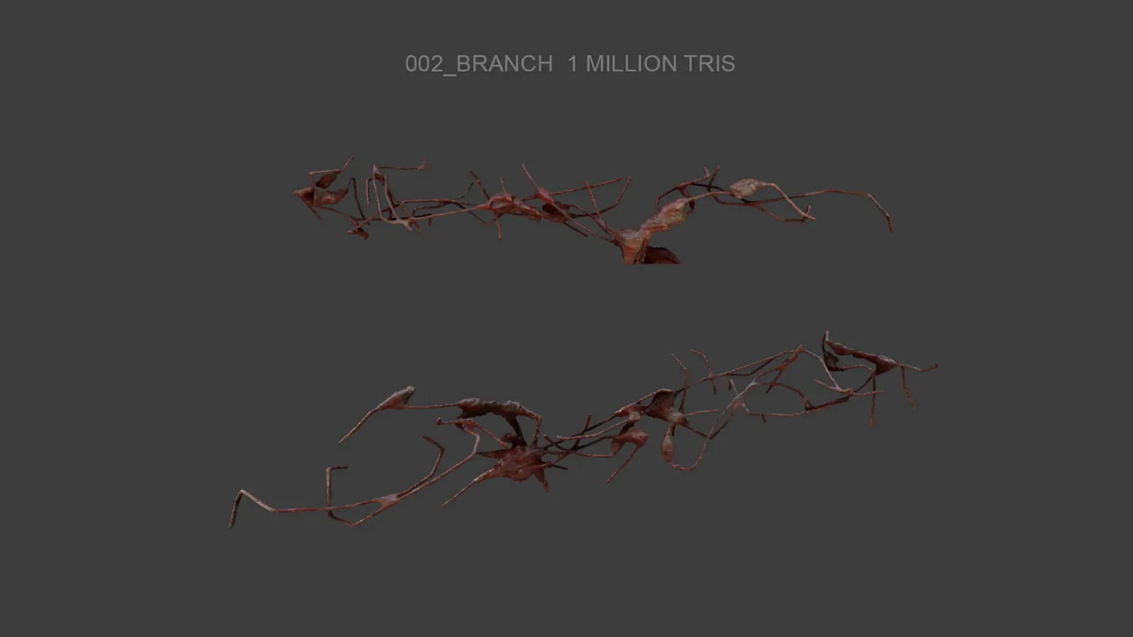 Organic Matter High-Poly Assets: preview 4