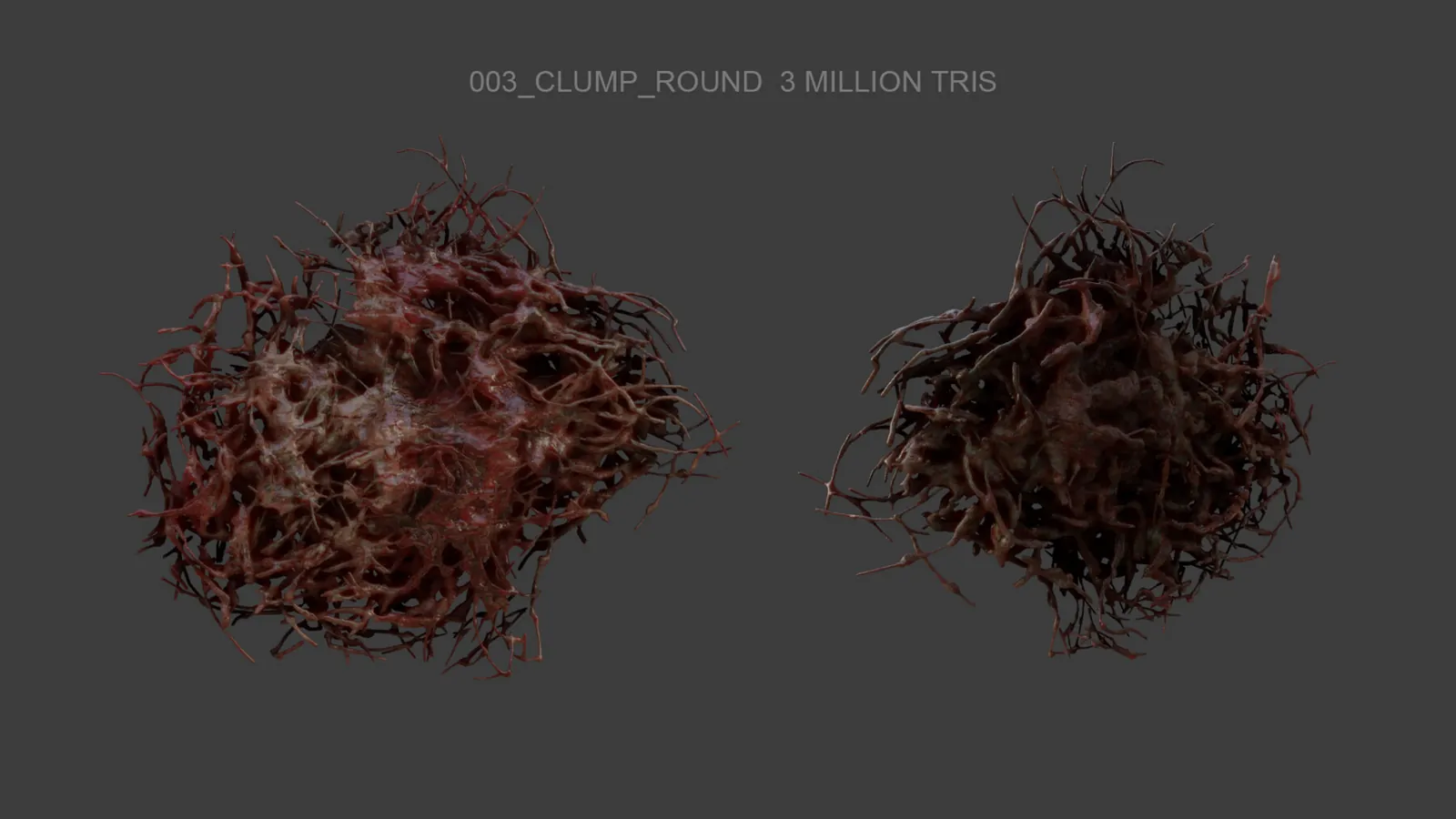 Organic Matter High-Poly Assets: preview 5