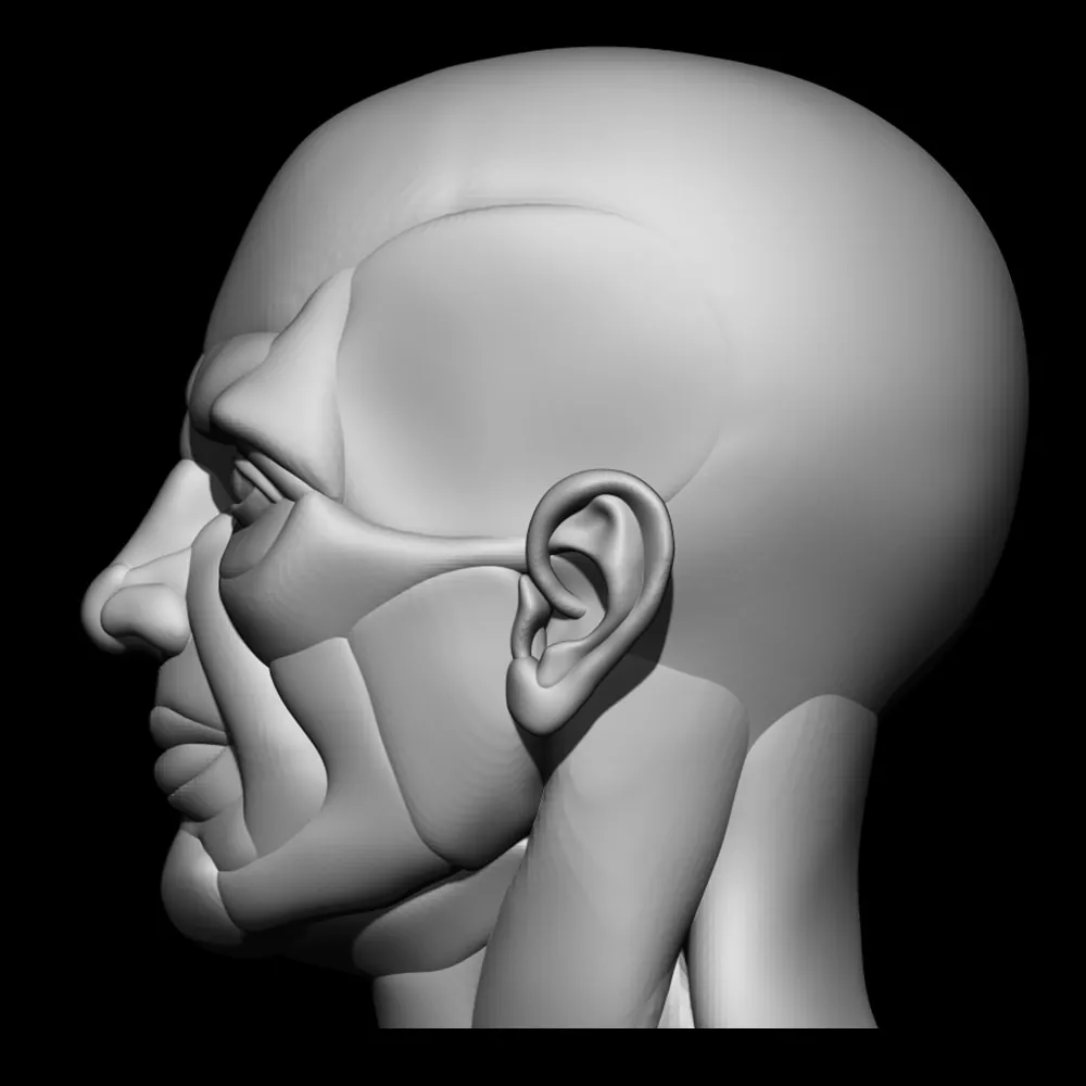 Segmented Head for Quick Character Design: preview 7